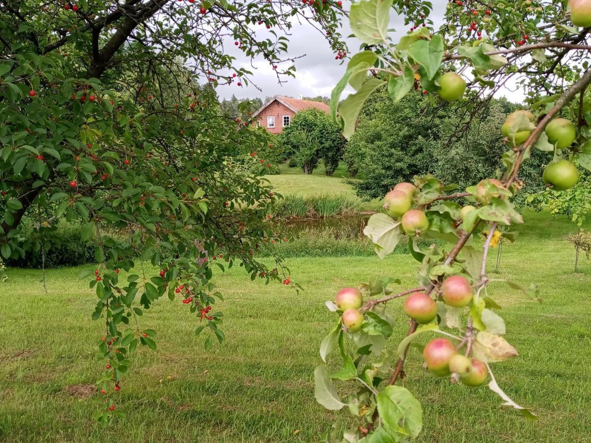 Agroturystyka Pod Dębem Jonkowo Zewnętrze zdjęcie